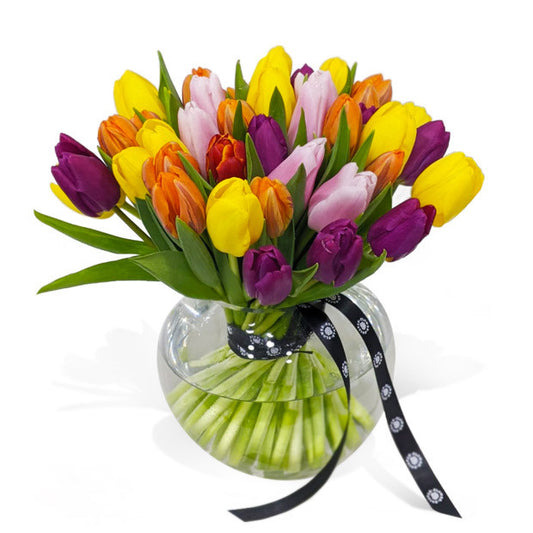 Mixed Tulips + FREE delivery