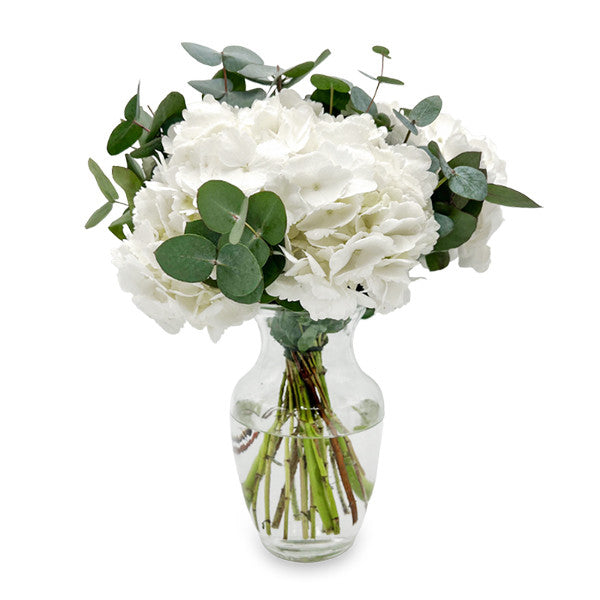 White Hydrangea and Eucalyptus Bouquet