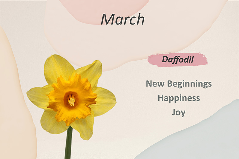 Birth Flowers By Month & Their Meanings – Bloombar Flowers